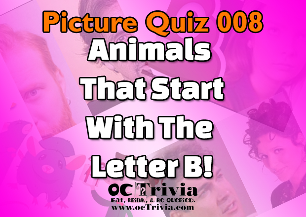 Trivia quiz for kids, trivia quizzes for kids, animal trivia quiz
